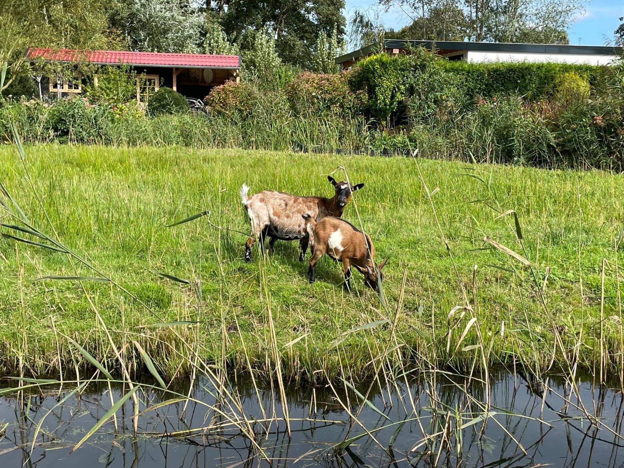 Huisje Op De Dijk Kortenhoef Eksteriør billede